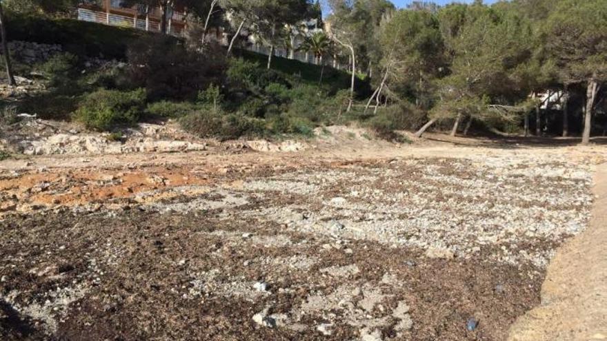 Strand in Cala Llombards wird für Saison hergerichtet