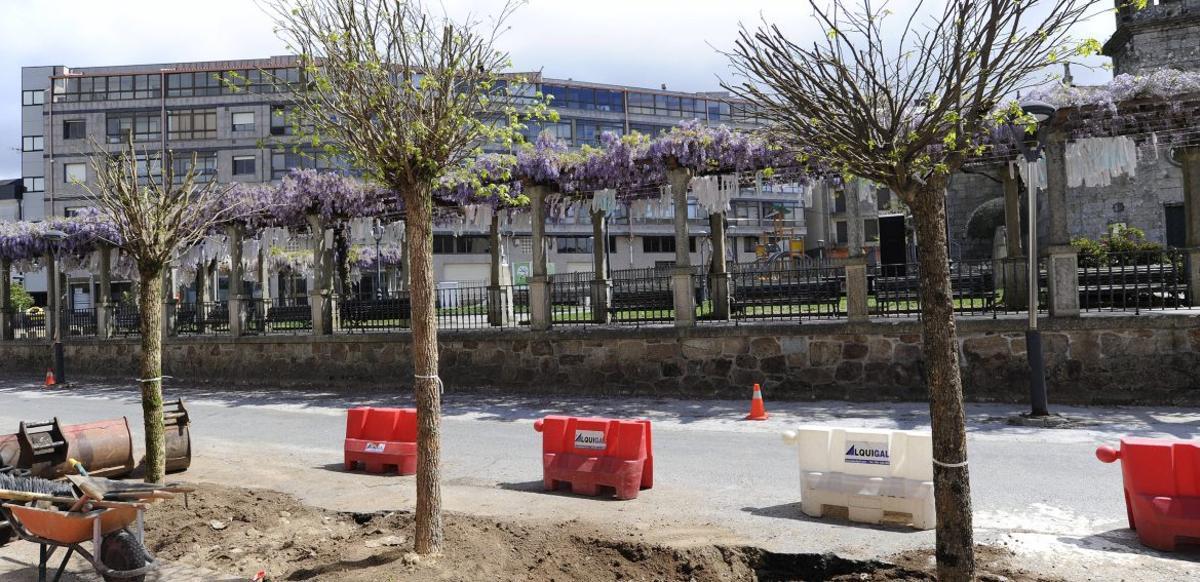 Culmina la plantación del nuevo arbolado de la Avenida do Parque | BERNABÉ/JAVIER LALÍN