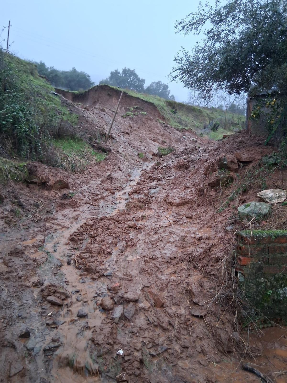 Imagen del desprendimiento.