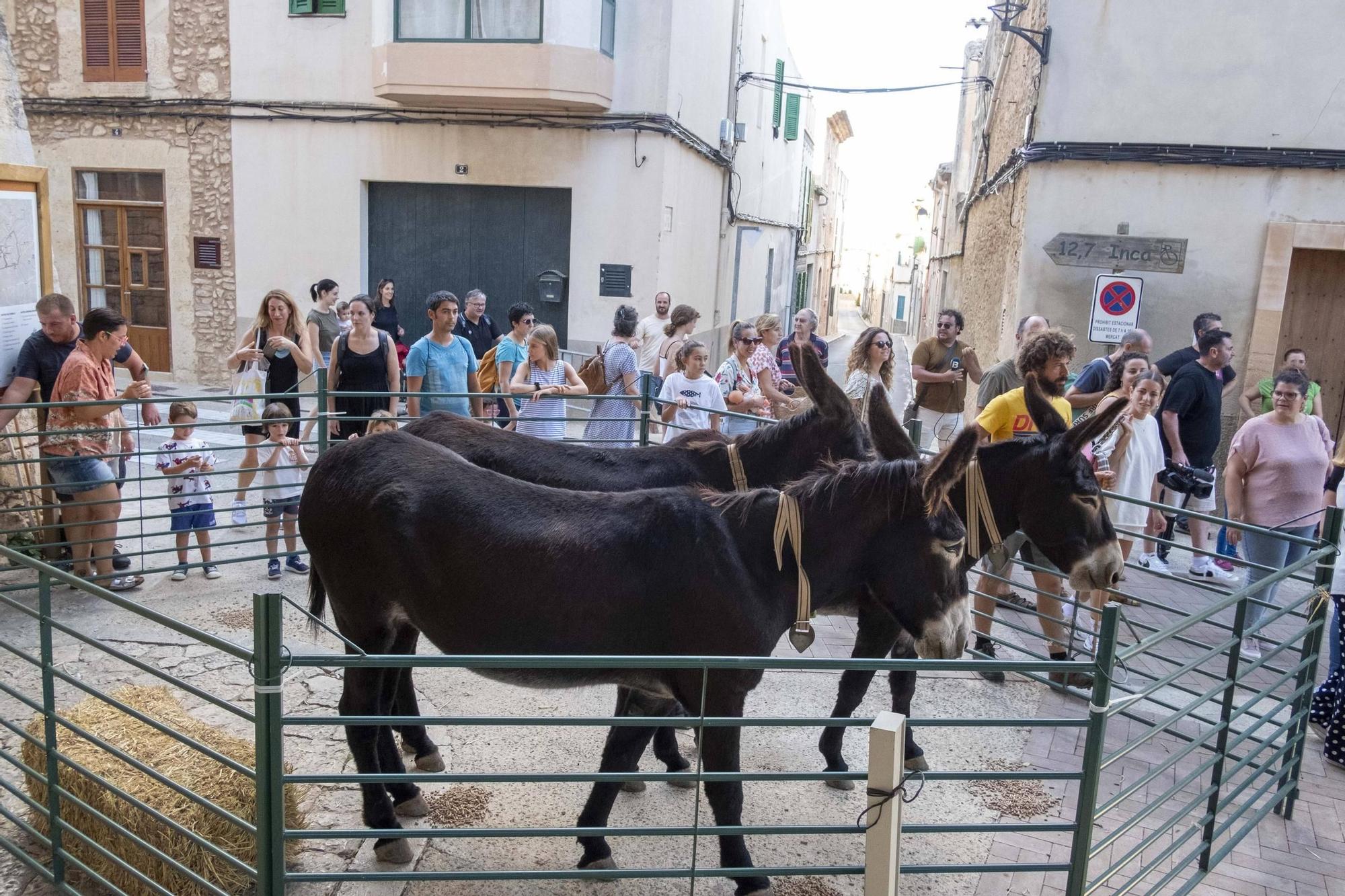 FOTOS | Fiesta de ‘sa Somerada’ en Sencelles