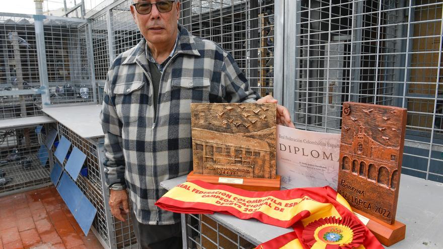 Un vecino de Las Palmas de Gran Canaria se proclama campeón nacional de colombofilia