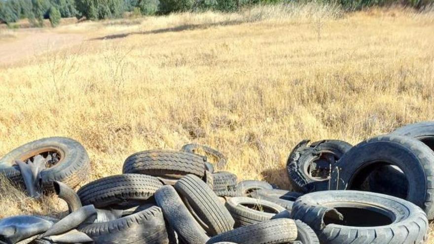 Neumáticos de todo tipo tirados en el campo.