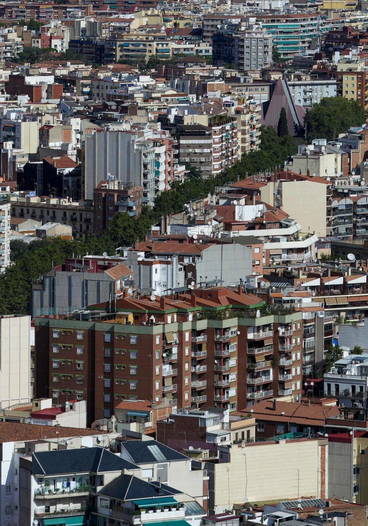 El mercat s’inunda de dades El mercat s’inunda de dades