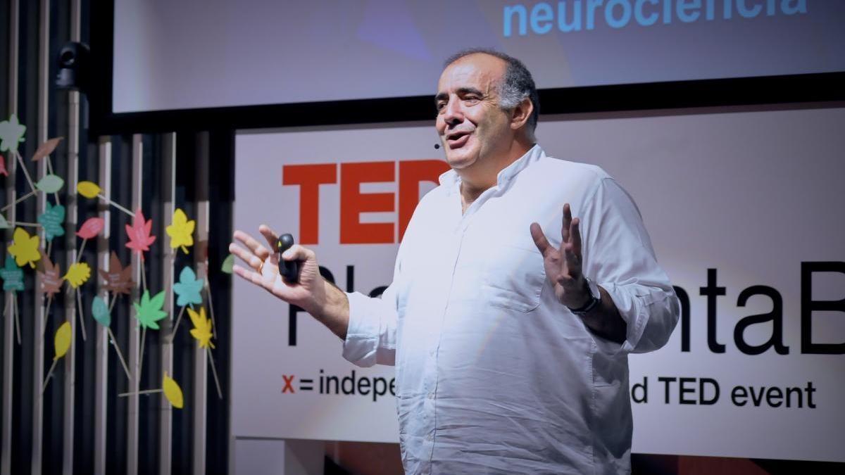 Agustín Cuenca, CEO de Neuro K.