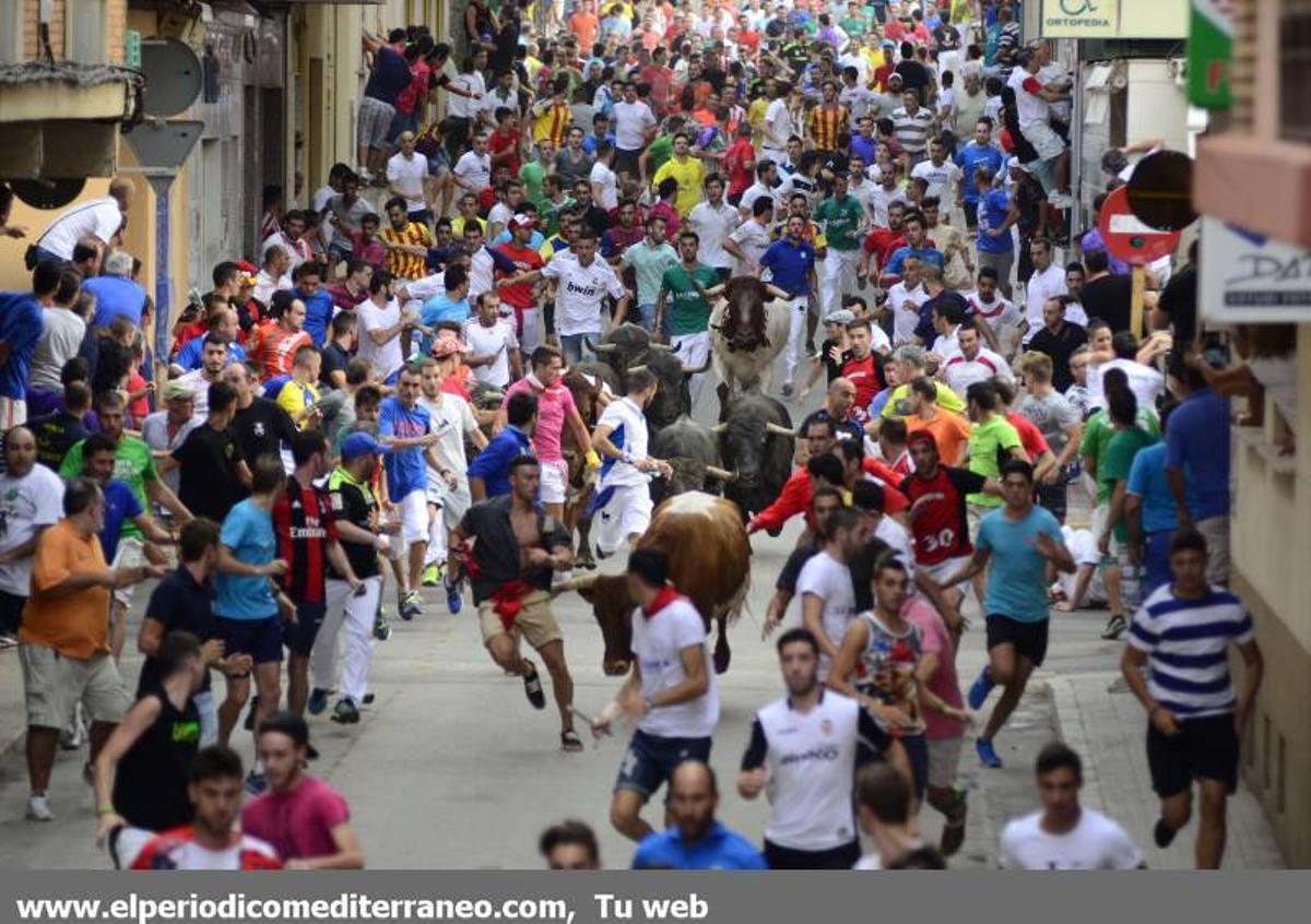 GALERÍA DE FOTOS -- Encierro de vértigo en la Vall d’Uixó GALERÍA DE FOTOS -- Encierro de vértigo en la Vall d’Uixó