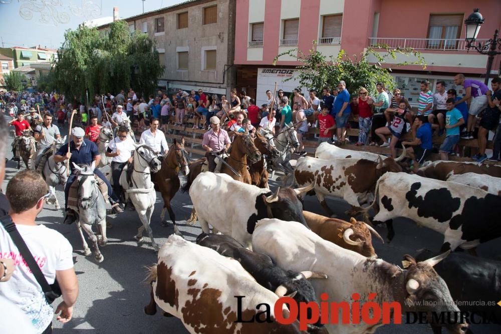 Quinto encierro en Moratalla