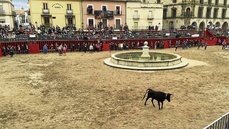 Un gran número de mujeres se lanza al ruedo para torear