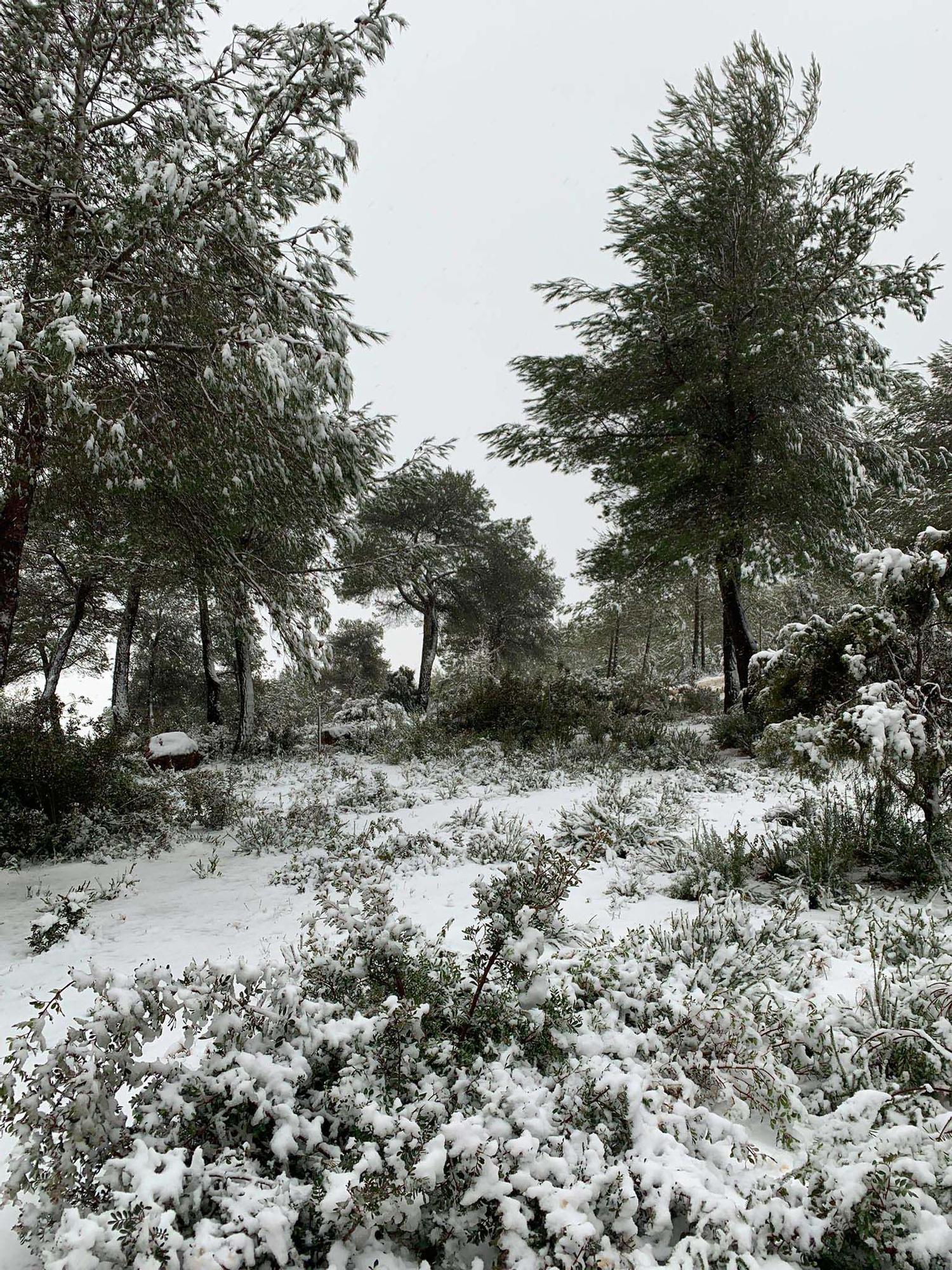 Galería de imágenes de la nevada por la borrasca Juliette en Ibiza