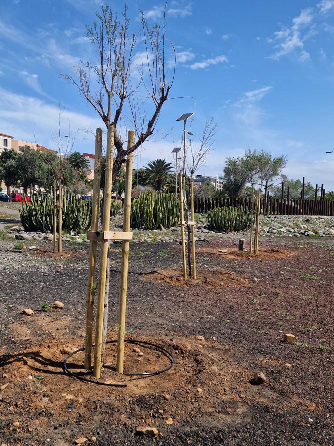 Vecindario tiene el mayor pulmón verde del Sureste