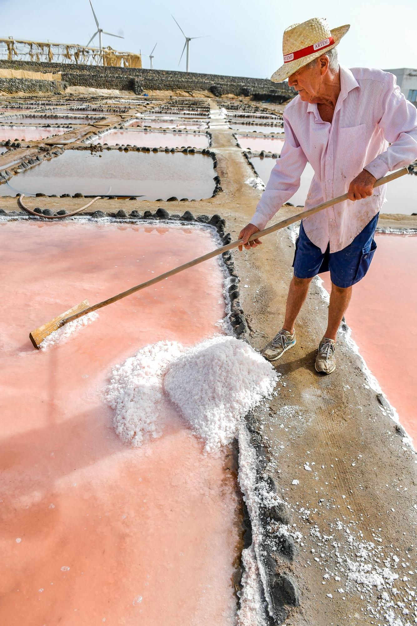 Salinas de Vargas