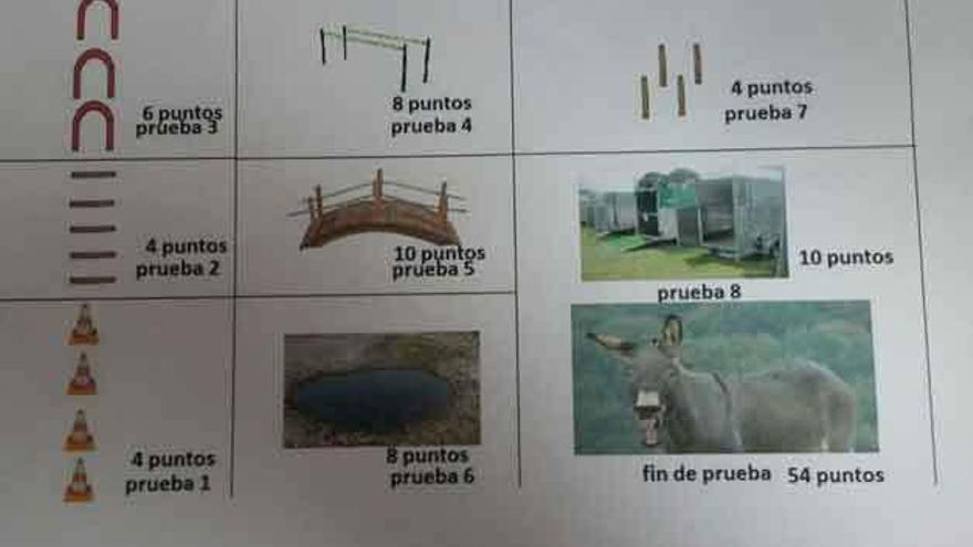 Esquema de las pruebas y su puntuación.