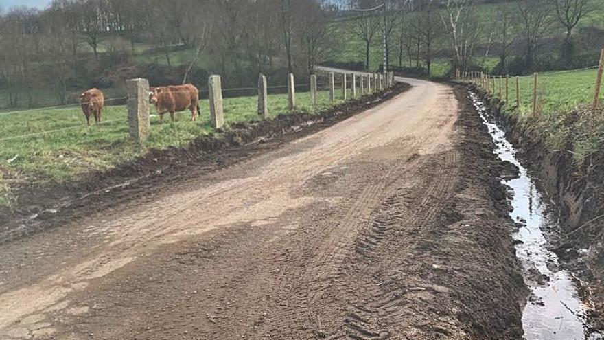 Rodeiro retoma el plan de limpieza de cunetas locales