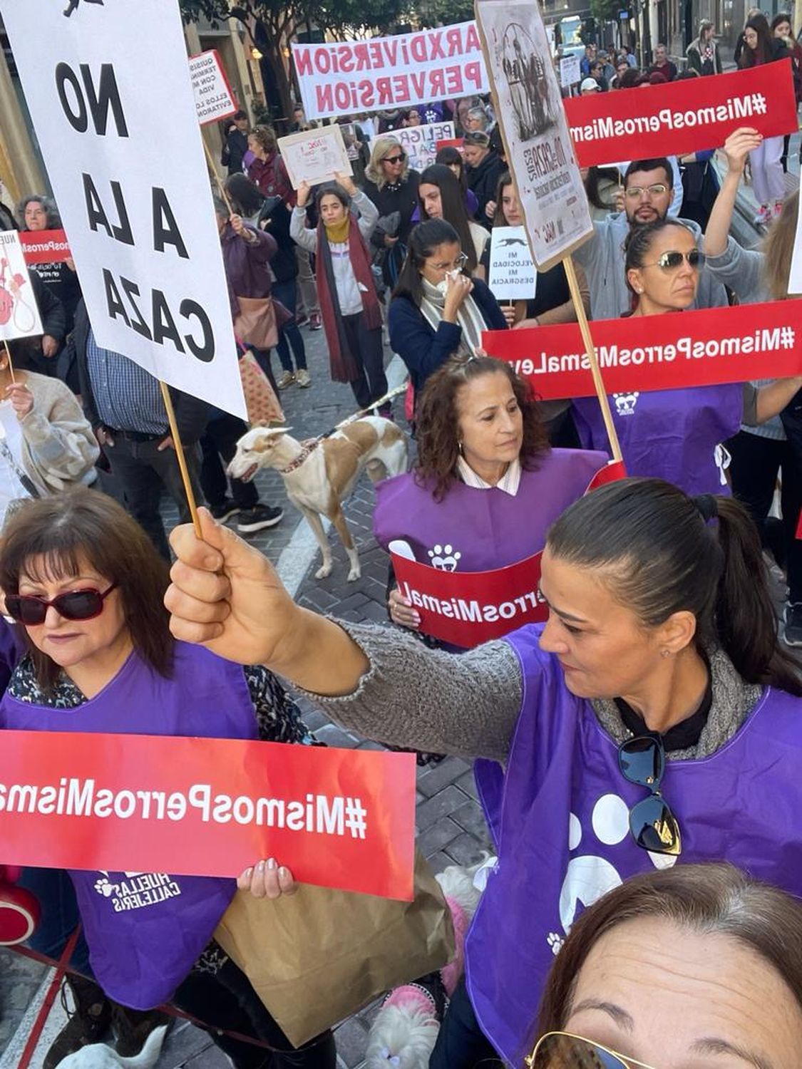 1.000 personas piden el fin de la caza en Castelló