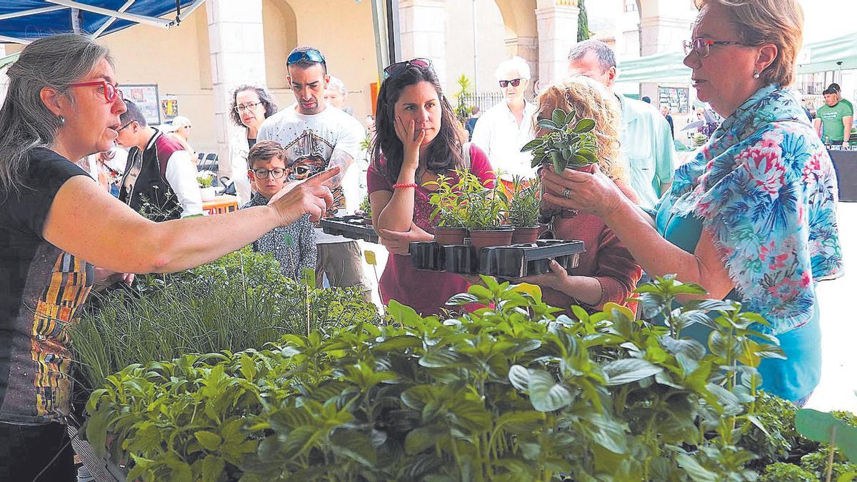 Una imatge d’aquest cap de setmana del Mercat de les Herbes.