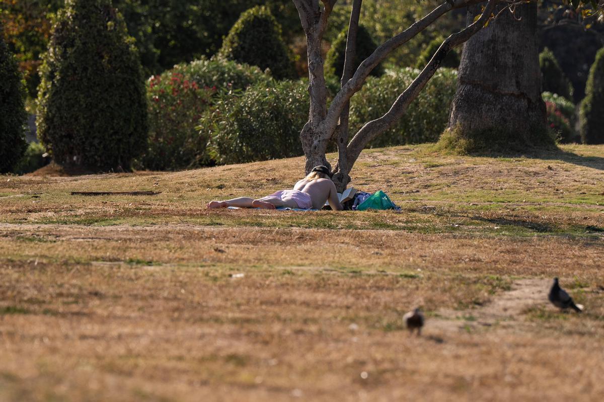 Récord de calor hoy en Barcelona.