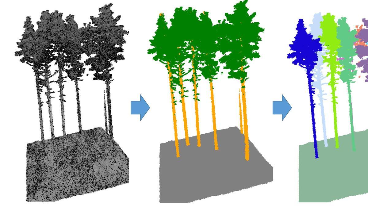 Los investigadores de GeoTech utilizarán imágenes para identificar qué especies integran la biomasa de interés.