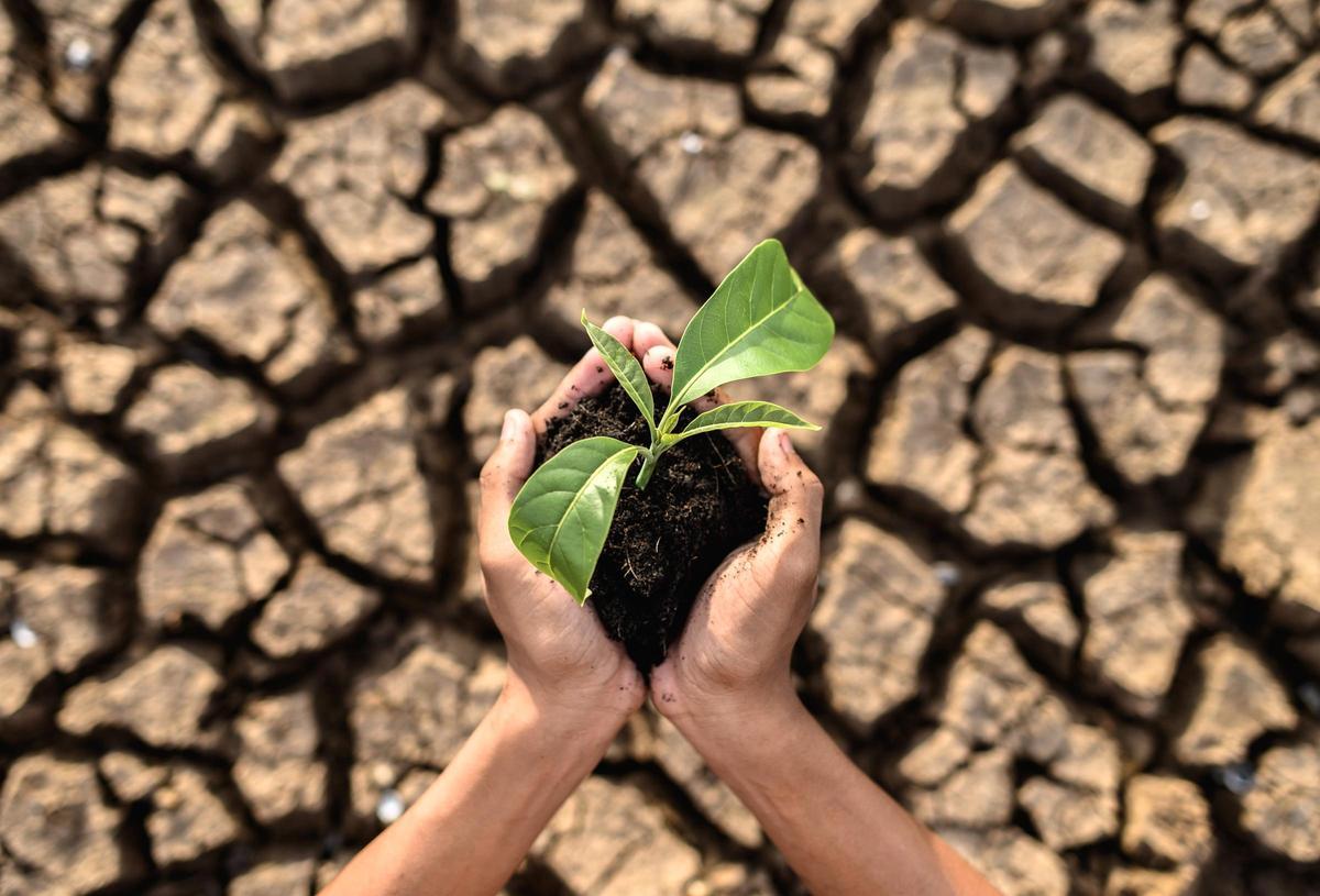 El cambio climático es un problema del presente que plantea desafíos en la sociedad.