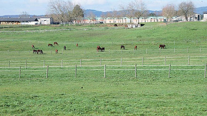 Una de las fincas propiedad de la Diputación, en el Concello de Vilamarín. // Iñaki Osorio