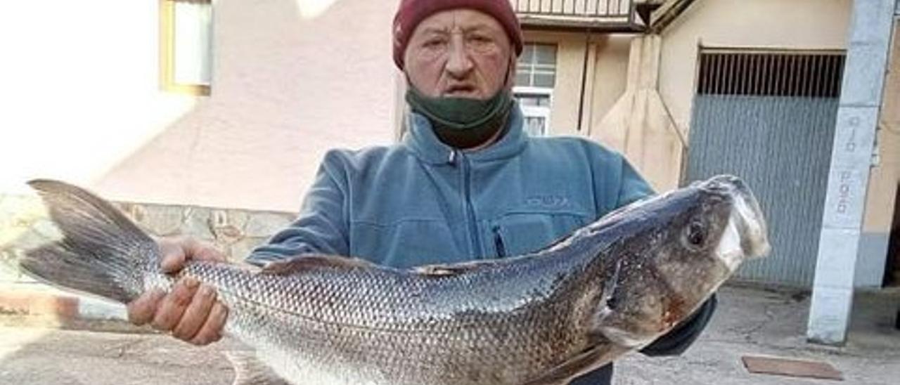 José Manuel Quintana Pérez, con la lubina que capturó el domingo a caña.