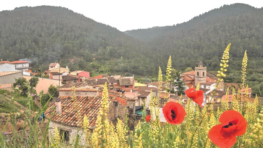 Pavías, en las alturas de la Sierra de Espadán