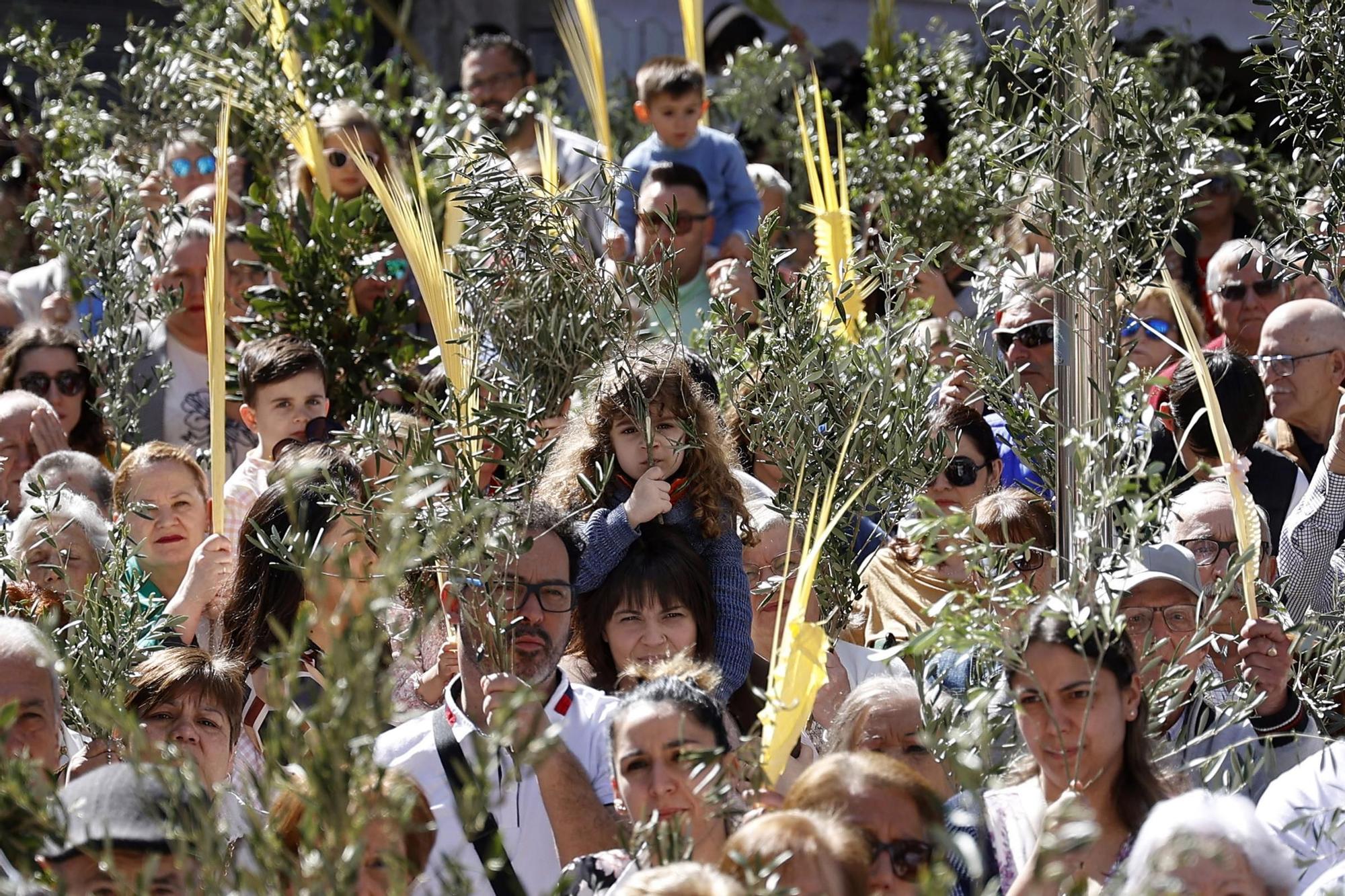 Domingo de Ramos en Marín