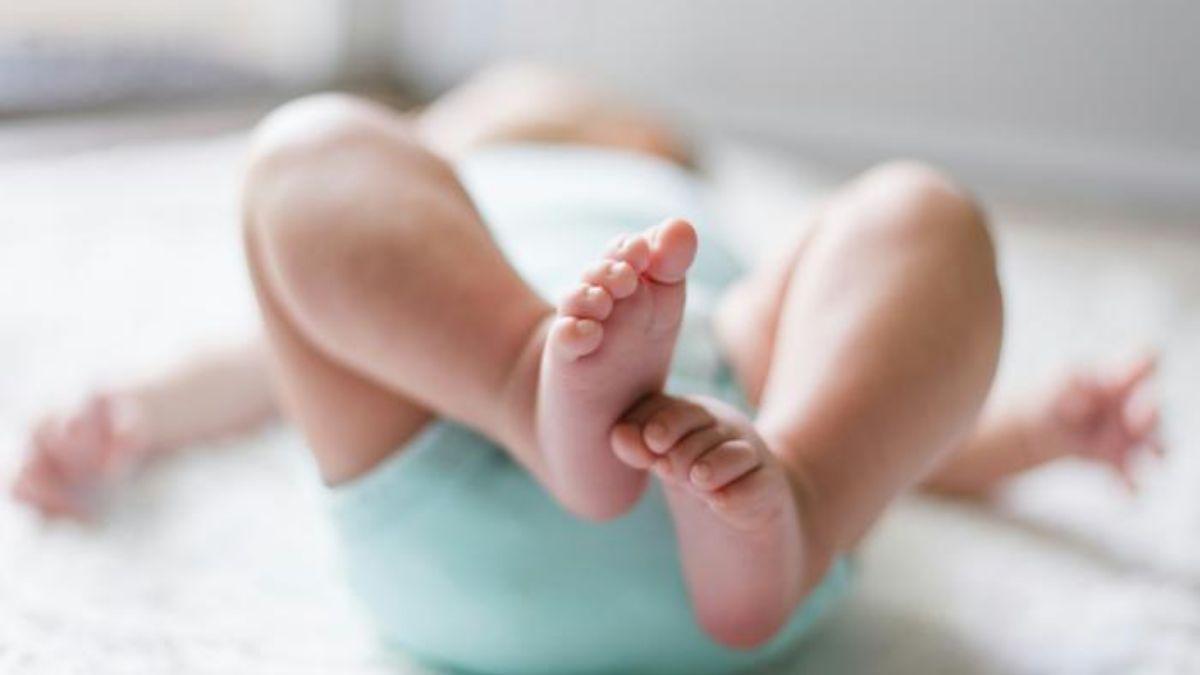 Los investigadores utilizaron un gran conjunto de datos de imágenes de resonancia magnética funcional para modelar las trayectorias de desarrollo de las redes funcionales cerebrales durante la etapa fetal y los primeros meses de vida luego del nacimiento.