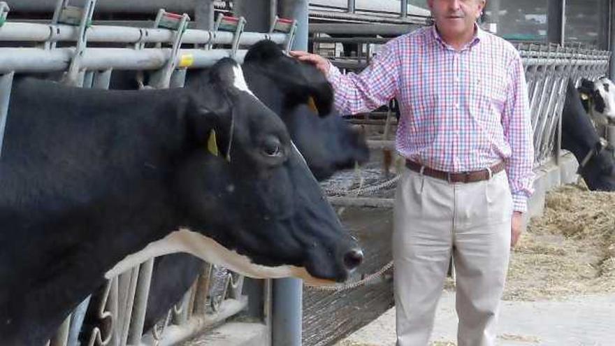 José Ramón Badiola, con dos de sus vacas, en la ganadería de Gozón.