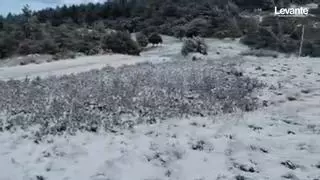 Dónde ver la nieve este fin de semana en Valencia
