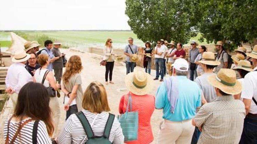 Empresas y grupos civiles  reclaman su papel en l&#039;Albufera