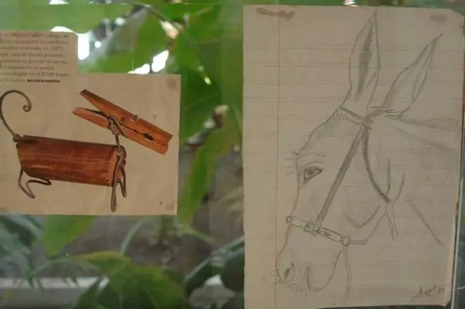 Exposición Bestiarios de Ángel Sánchez