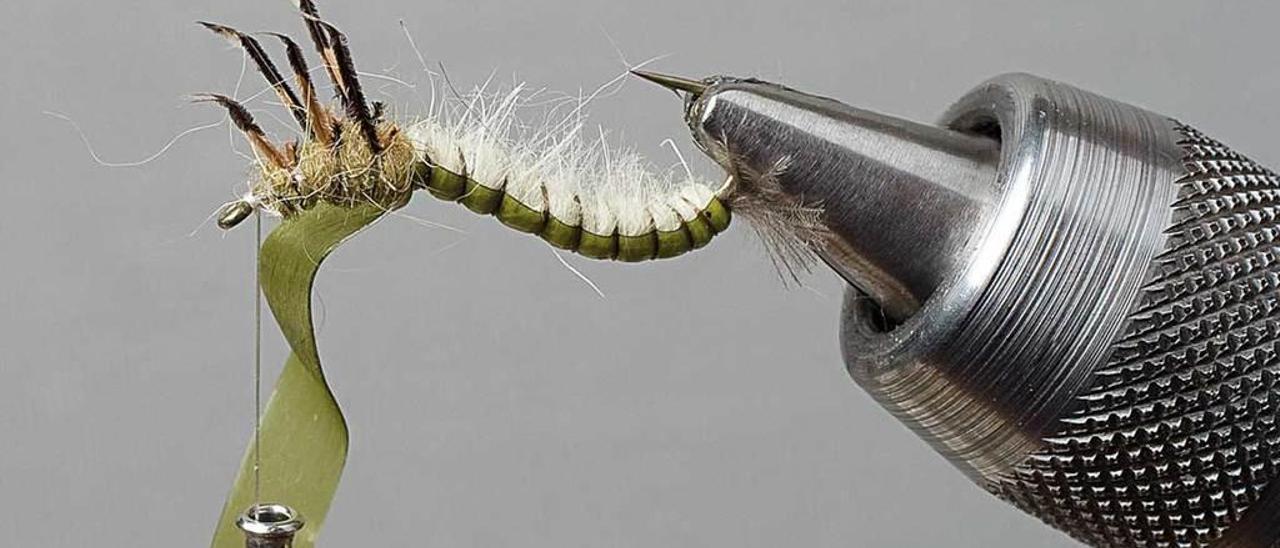 Efectivo montaje realista de una larva