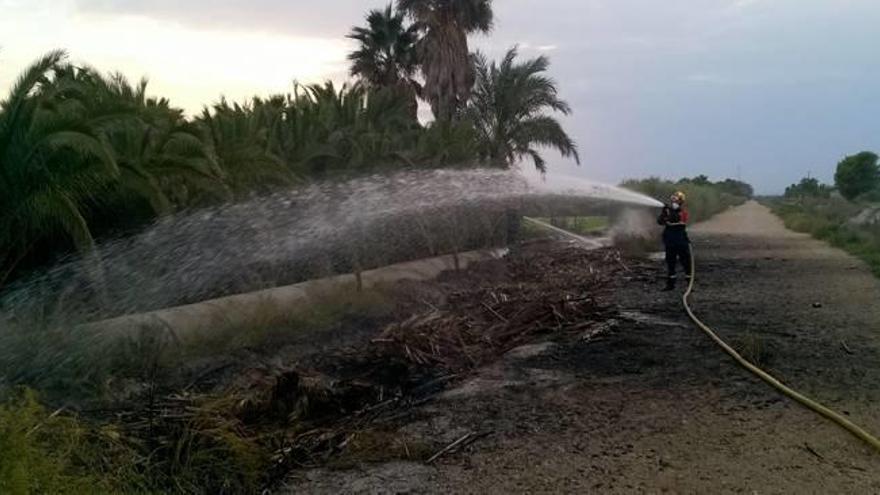 Incendio junto a El Hondo