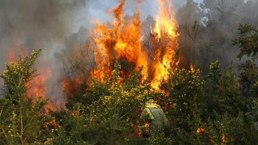 Con la ayuda de la Unidad Militar de Emergencias (UME), Galicia ha redoblado sus esfuerzos para intentar sofocar el incendio forestal que desde ayer se registra en las Fragas do Eume y que supera las 700 hectáreas, de ellas 500 de arbolado, según han informado a Efe fuentes de la Xunta. En la zona se mantiene, como medida de precaución, el nivel de alerta 1, el más elevado, por la proximidad de las llamas a viviendas, si bien en estos momentos no se aprecia peligro real.