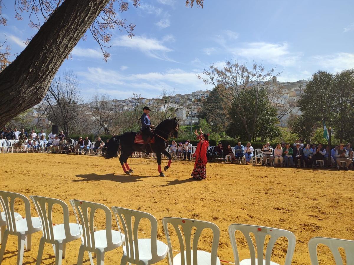 Una de las actividades que se desarrollaron en la tarde del sábado con motivo del 28F en Baena.
