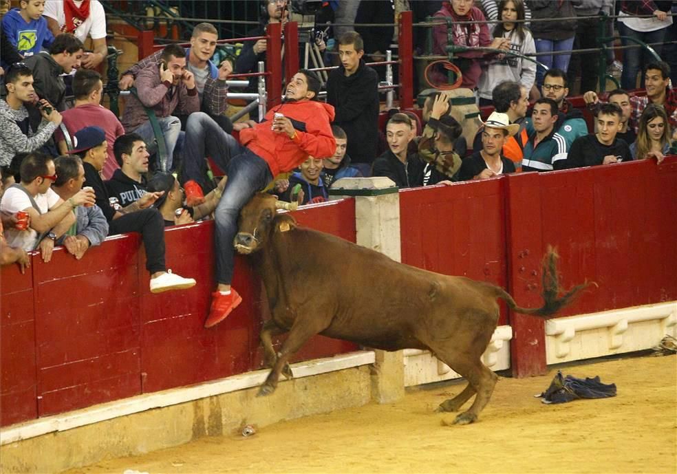 Mejores momentos de las Vaquillas