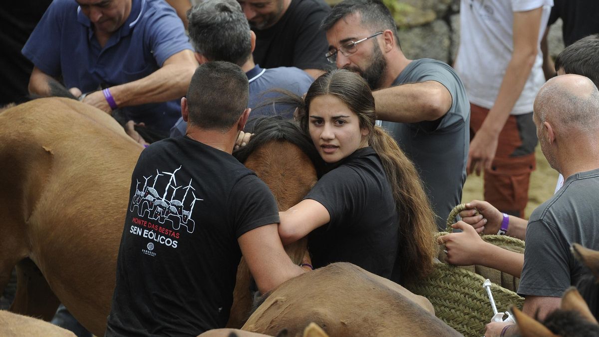Imaxe da Rapa das Bestas de 2024.