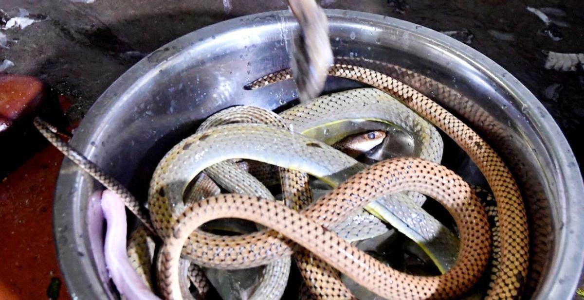 Serpientes en un mercado de Vietnam