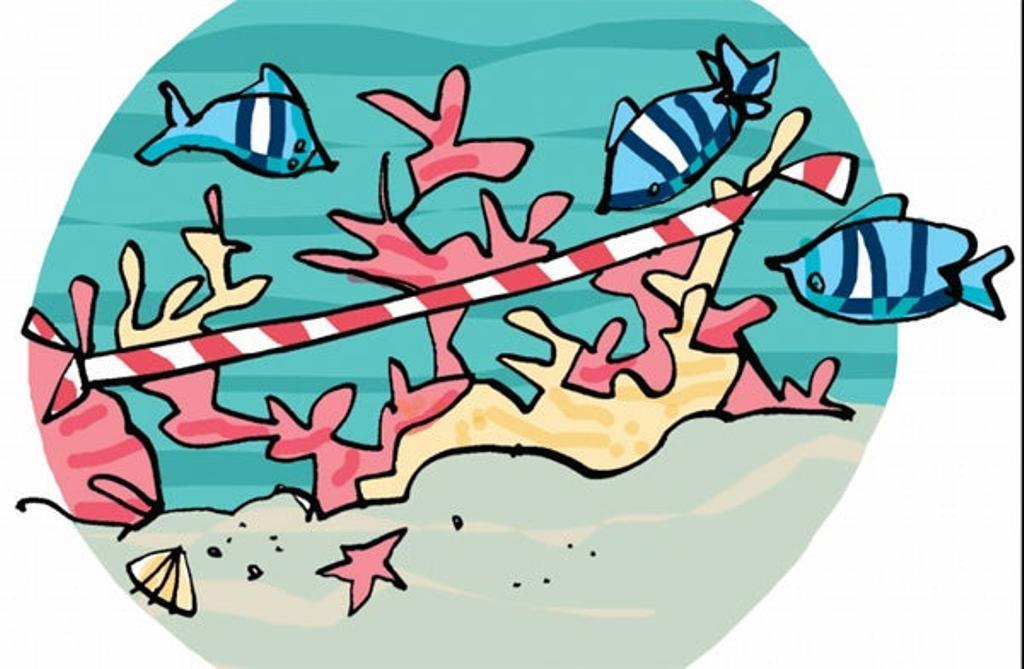 Los arrecifes de coral del Índico, en peligro de extinción