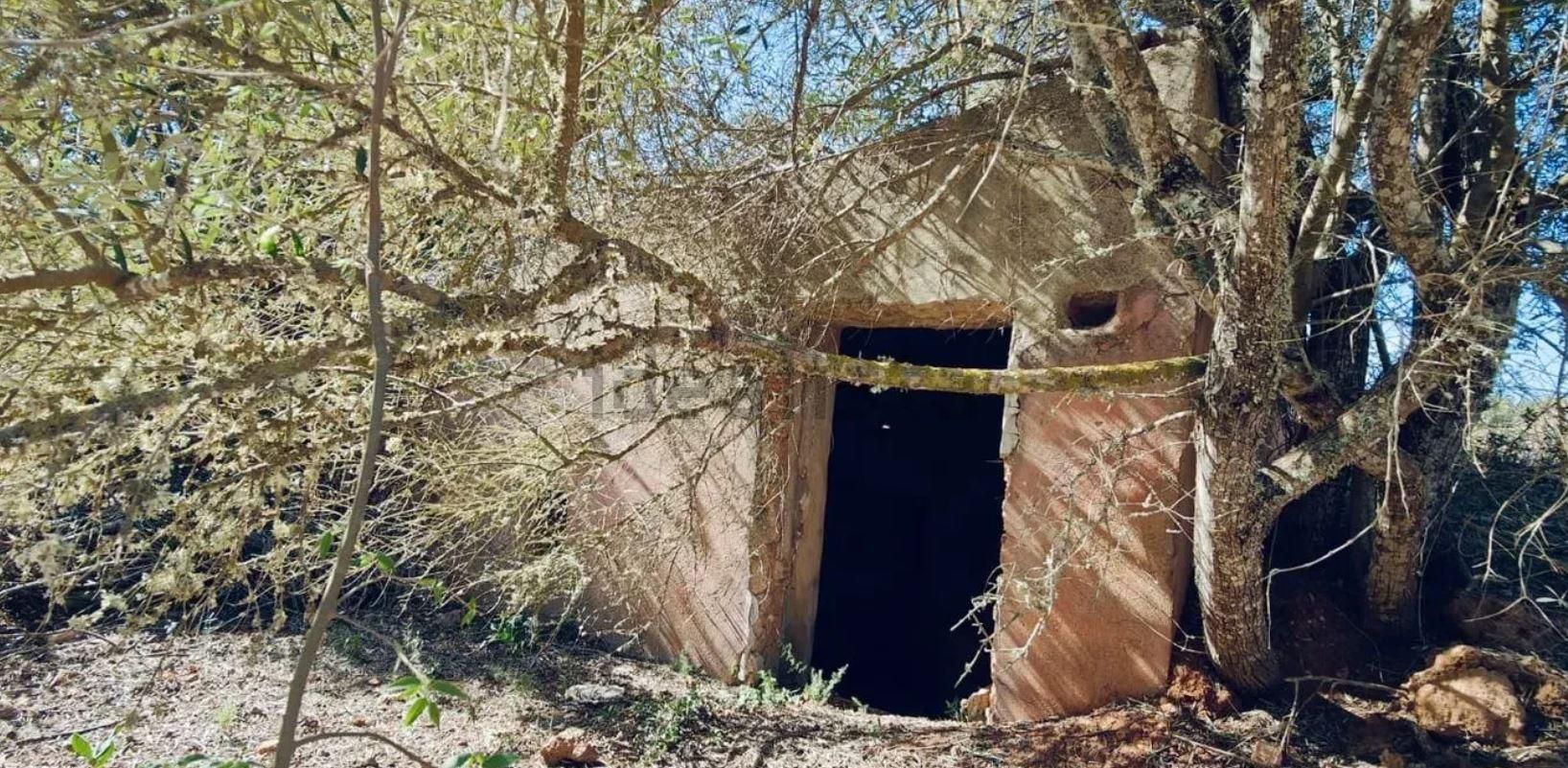 Una finca rústica para restaurar como un agroturismo por nueve millones de euros en Ibiza