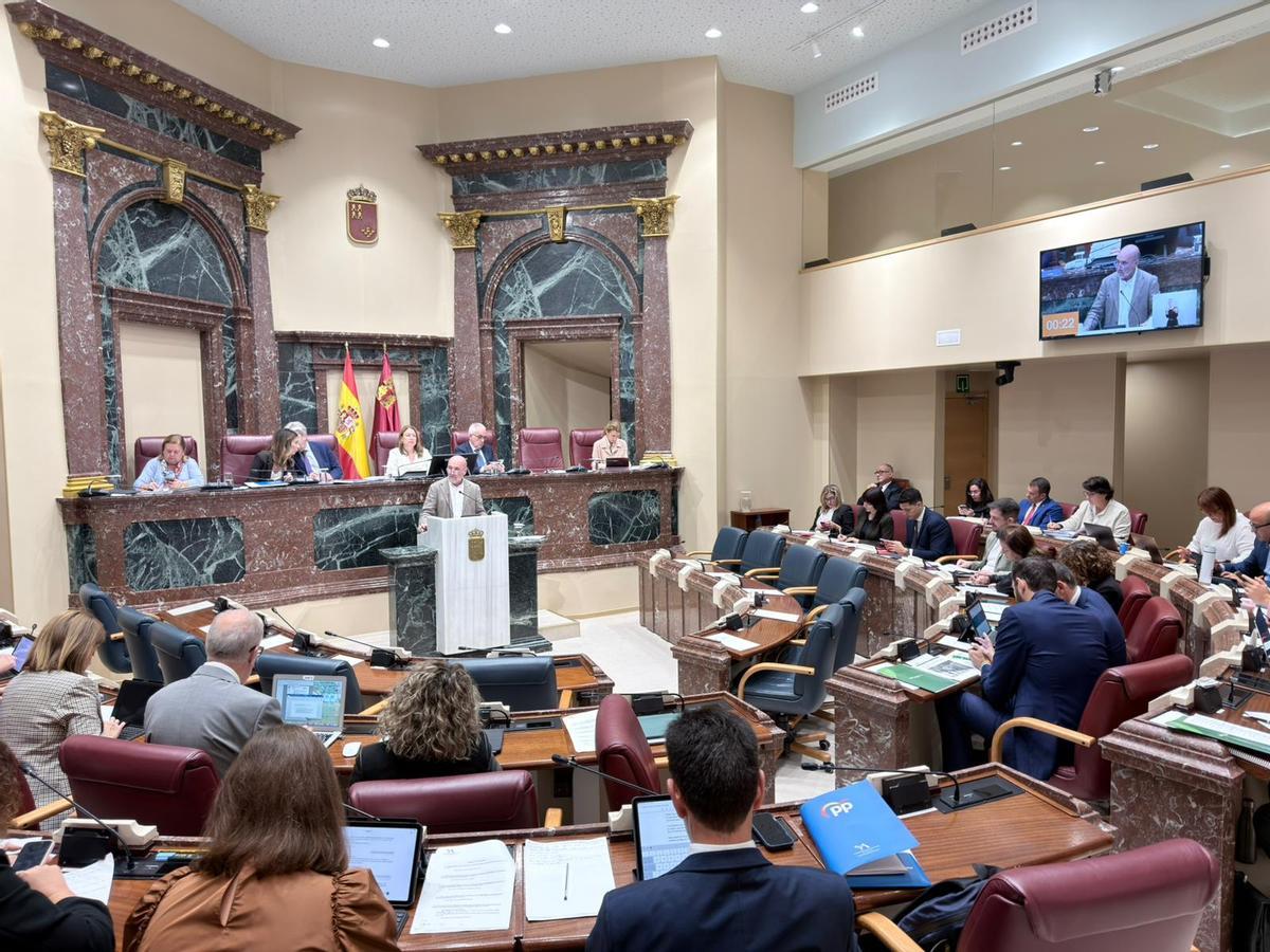Pleno de la Asamblea Regional