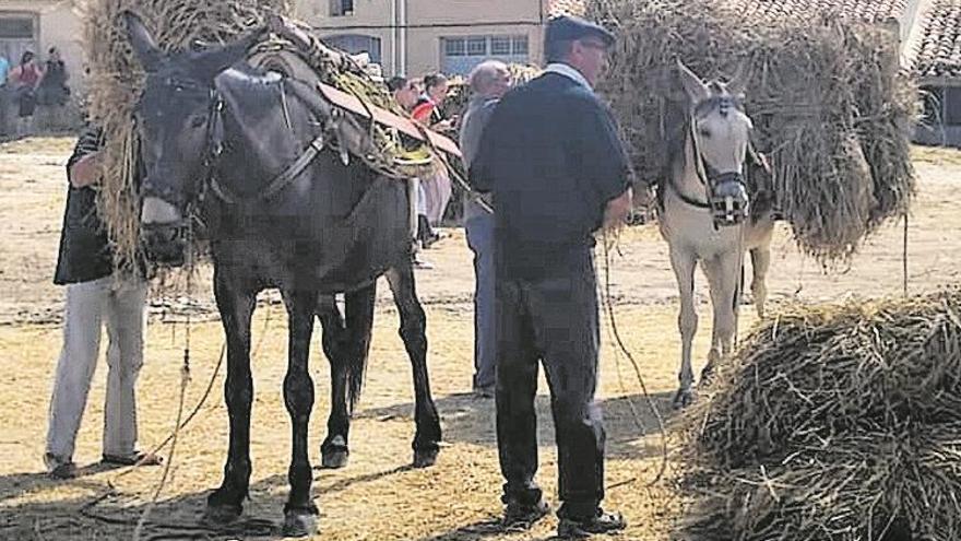 Benassal busca en su pasado