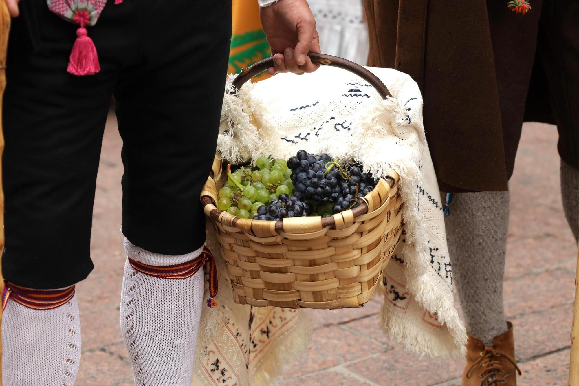La Ofrenda de Frutos brilla un año más por el centro de Zaragoza