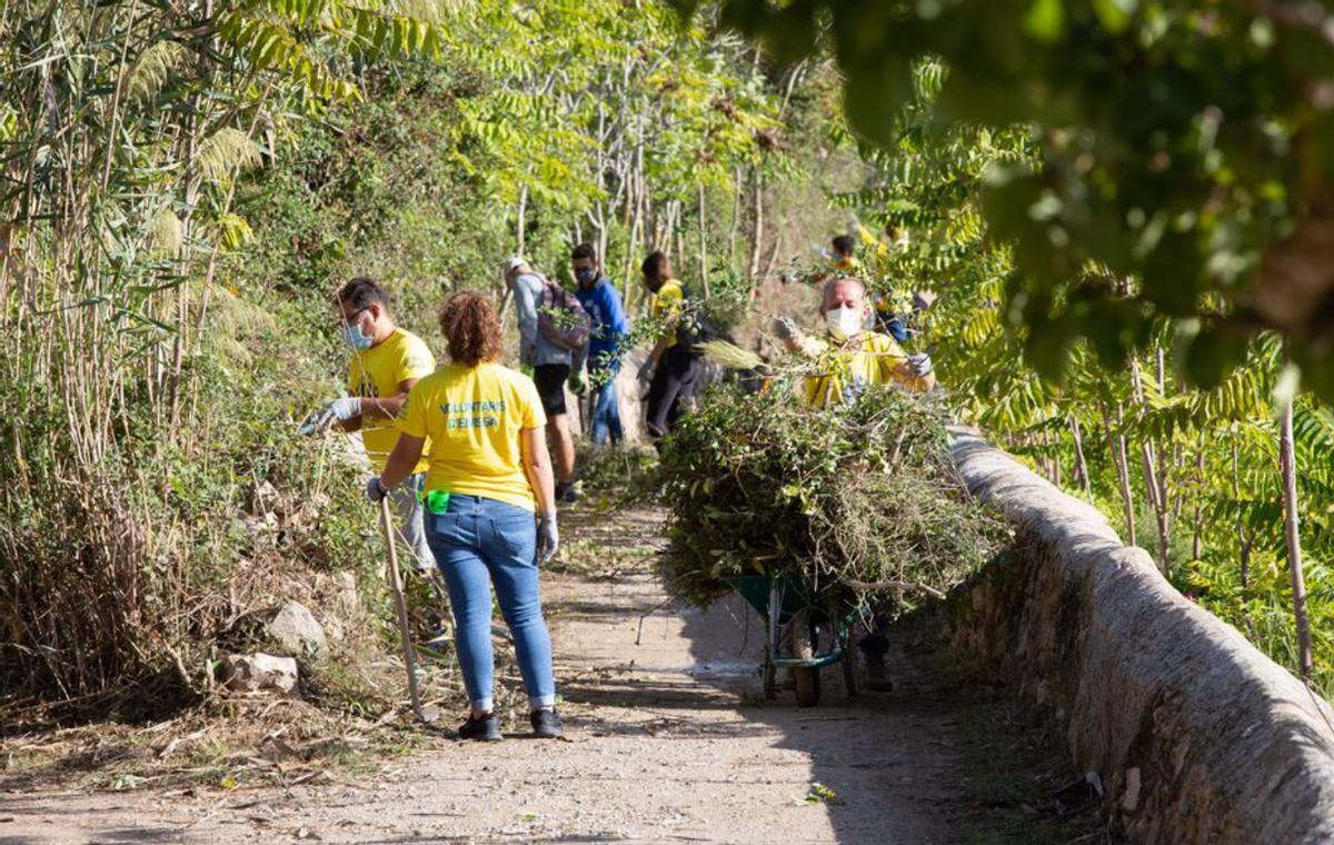 Voluntarios limpian el camí de l’Horta, que es de tierra. | VICENT MARÍ