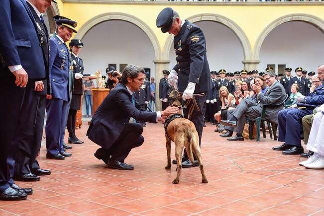 Dia de la Policia