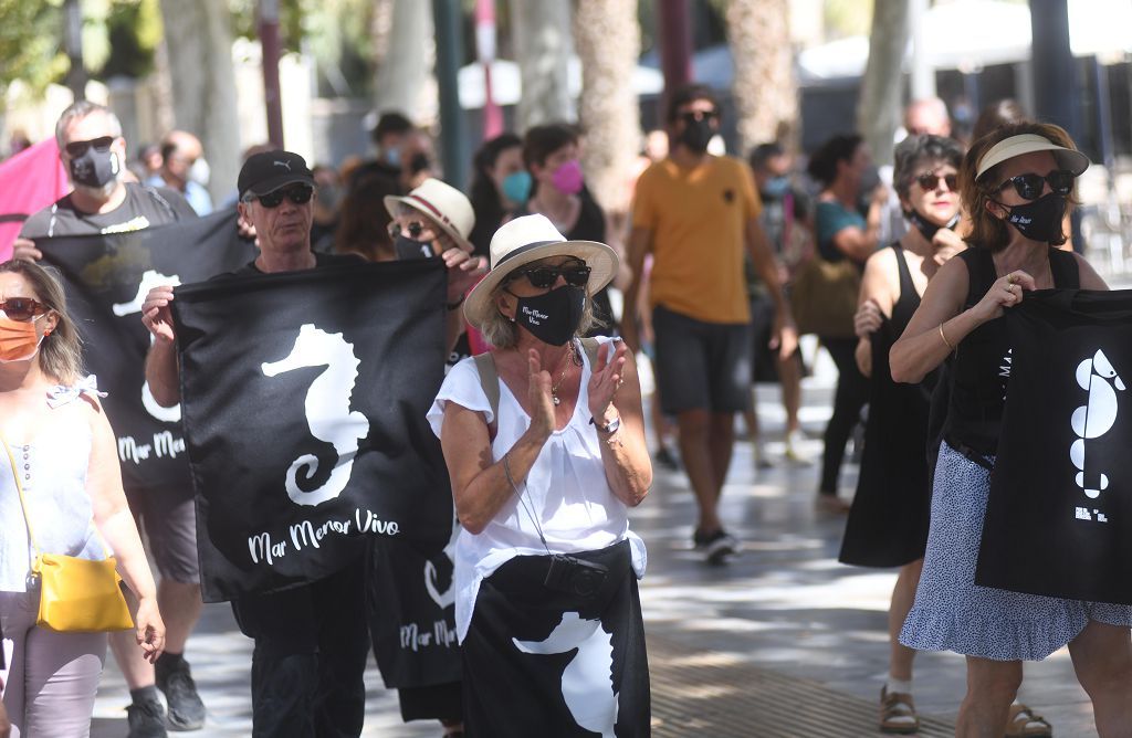 Así ha sido la manifestación por el Mar Menor de este sábado en Murcia