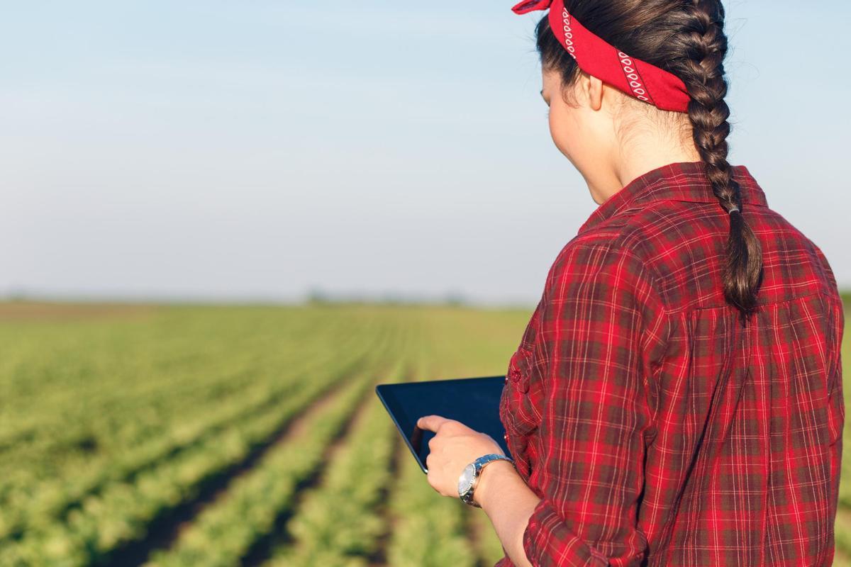 Las ayudas pretenden ayudar a la incorporación de los jóvenes al sector.