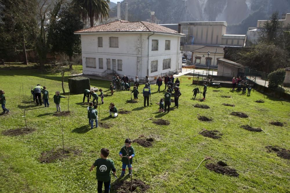 Los alumnos del colegio de Tudela Veguín y el alcalde de Oviedo, Wenceslao López, participan en la plantación de árboles de la fábrica de cemento