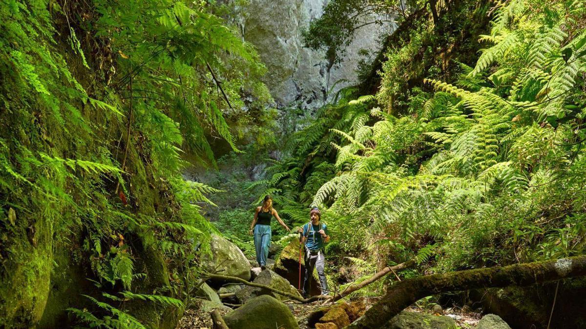 Una pareja de turistas disfruta de la naturaleza de La Palma mientras realiza senderismo.