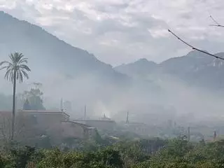 Vuelven las quemas de rastrojos y las 'torrades' a Mallorca: termina la época de restricciones por riesgo de incendio
