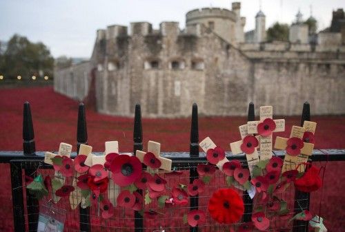 La Torre de Londres se cubre con una marea roja de flores de cerámica que recuerdan a los caídos en la Gran Guerra